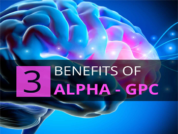 What Makes Alpha GPC Powder a Versatile Ingredient for Both Cognitive and Physical Performance Products?
